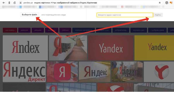 Поиск по изображению Яндекс картинки 2