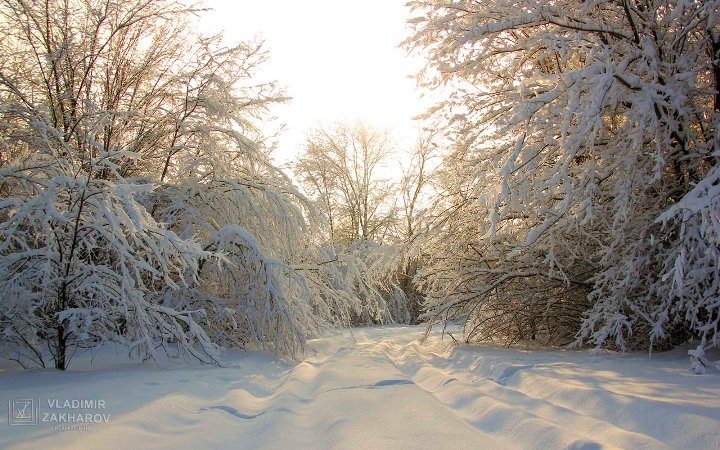 Природа — зимние пейзажи, фотогалерея